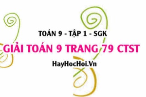 Giải Toán 9 trang 79 tập 1 Chân trời sáng tạo SGK